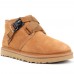 CLASSIC CHUKKA QUICKCLICK BOOT MEN'S CHESTNUT