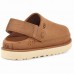 UGG GOLDENSTAR CLOG CHESTNUT