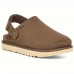 UGG GOLDENSTAR CLOG CHOCOLATE